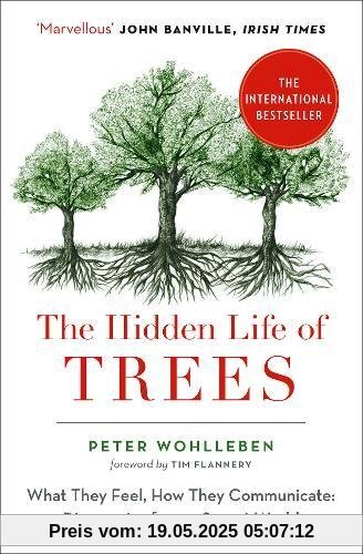 The Hidden Life of Trees: What They Feel, How They Communicate