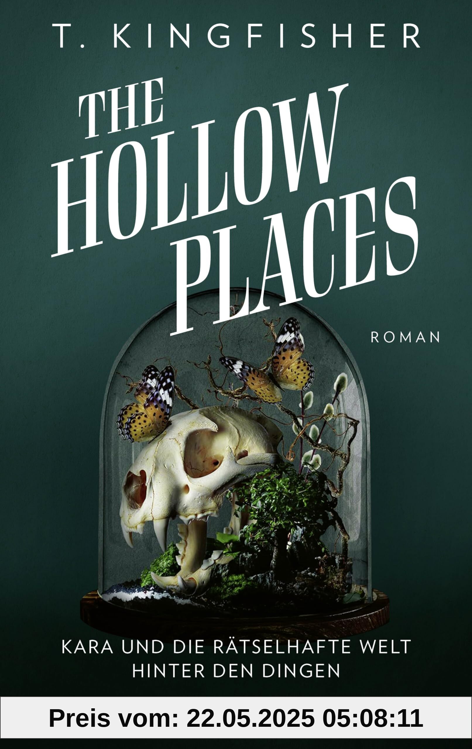 The Hollow Places: Kara und die rätselhafte Welt hinter den Dingen. Roman