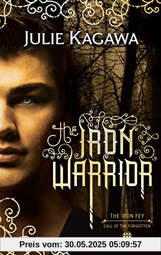 The Iron Warrior (The Iron Fey, Band 7)