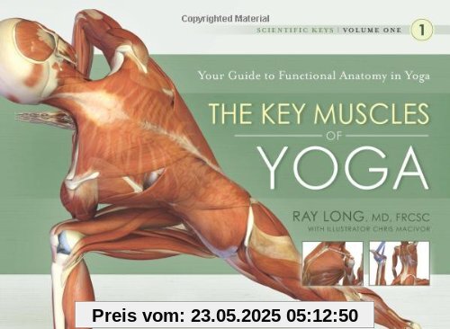 The Key Muscles of Yoga: 1 (Scientific Keys)