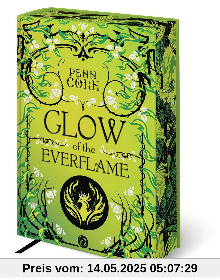 The Kindred's Curse: Glow of the everflame - Édition reliée (2)