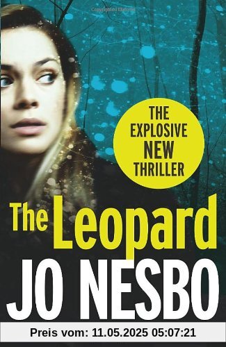 The Leopard: A Harry Hole thriller (Oslo Sequence 6)