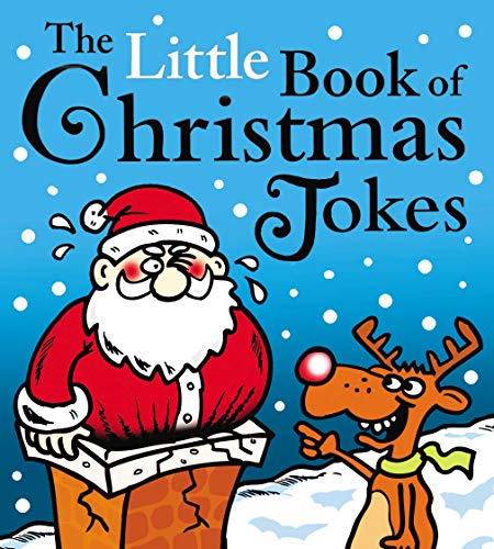 The Little Book of Christmas Jokes von Andersen Press