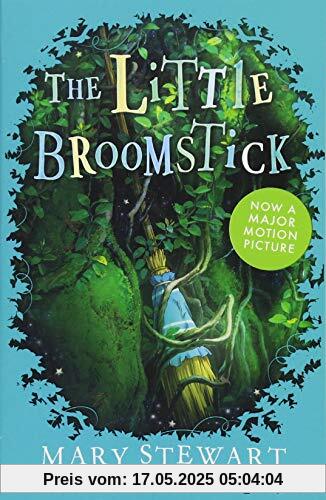 The Little Broomstick: Now adapted into an animated film by Studio Ponoc 'Mary and the Witch's Flower'