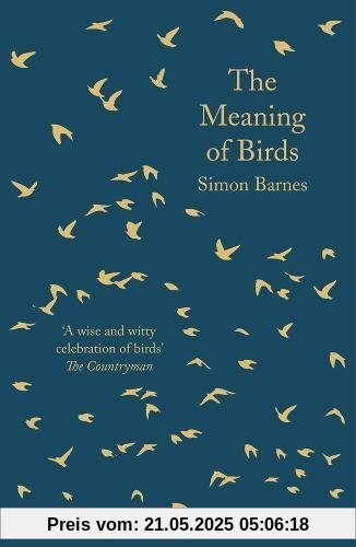 The Meaning of Birds