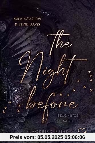 The Night before: Beschütze mich (Romance Suspense) (Blackbird)