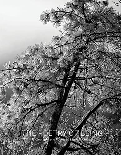 The Poetry of Being: Photographs and Haikus von Daylight Books