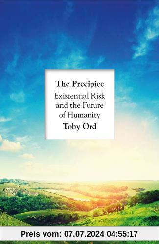 The Precipice: ‘A book that seems made for the present moment’ New Yorker
