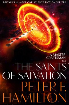 The Saints of Salvation von Macmillan Publishers International / Pan