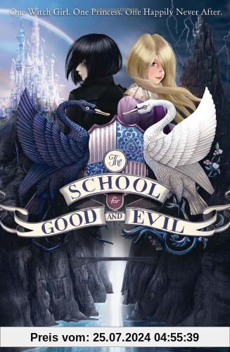 The School for Good and Evil 01 (The Selection)