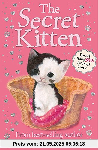 The Secret Kitten: Holly Webb Animal Stories The Secret Kitten: Holly Webb Animal Stories