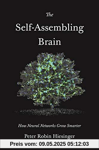 The Self-Assembling Brain: How Neural Networks Grow Smarter