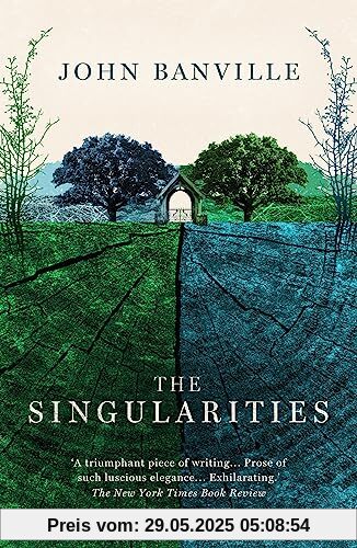 The Singularities: A Novel