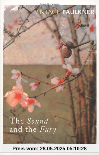 The Sound And The Fury (Vintage Classics)