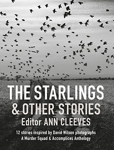 The Starlings and Other Stories: A Murder Squad & Accomplices Anthology von Graffeg