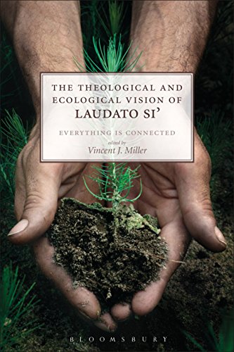 The Theological and Ecological Vision of Laudato Si': Everything is Connected von T&T Clark