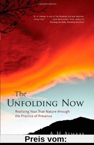The Unfolding Now: Realizing Your True Nature through the Practice of Presence