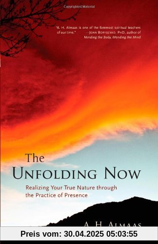The Unfolding Now: Realizing Your True Nature through the Practice of Presence