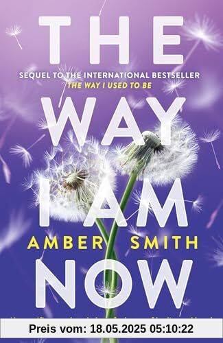 The Way I Am Now: Amber Smith (The Way I Used to Be)