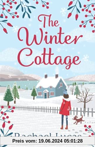 The Winter Cottage: A Gorgeously Romantic Feel-Good Festive Read for Christmas 2021, from the author of The Village Green Bookshop (Applemore, Band 1)