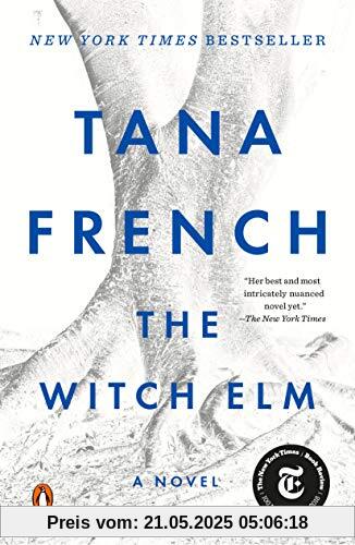 The Witch Elm: A Novel