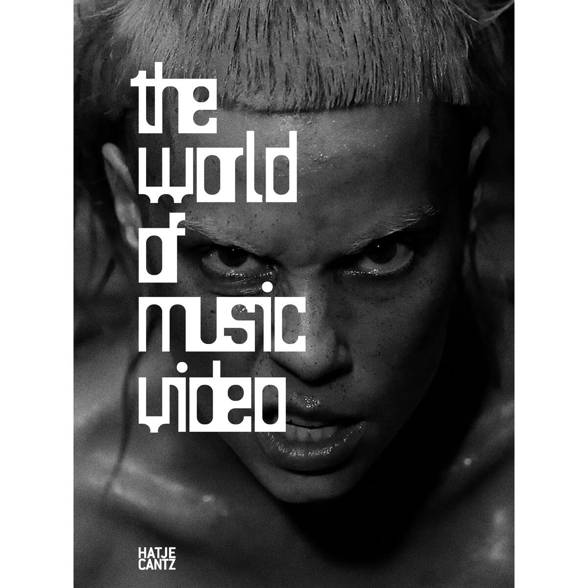 The World of Music Video von Hatje Cantz Verlag GmbH