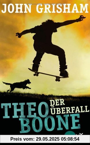 Theo Boone - Der Überfall: Band 4 (Heyne fliegt)