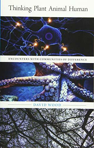 Thinking Plant Animal Human: Encounters With Communities of Difference: Encounters with Commun... Thinking Plant Animal Human: Encounters With Communities of Difference: Encounters with Commun...