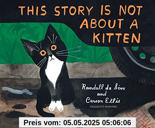 This Story Is Not About a Kitten