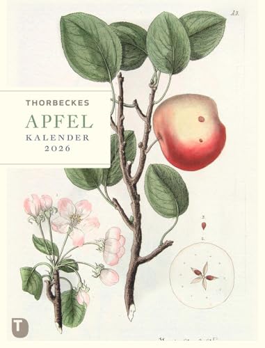 Thorbeckes Apfel-Kalender 2026 von Jan Thorbecke Verlag