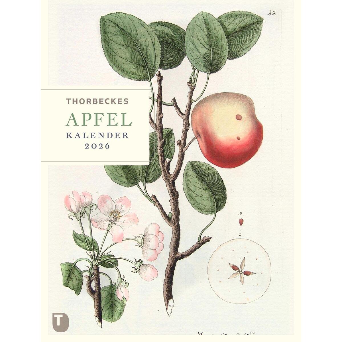 Thorbeckes Apfel-Kalender 2026 von Thorbecke Jan Verlag