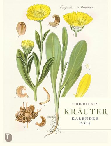Thorbeckes Kräuter-Kalender 2025 Thorbeckes Kräuter-Kalender 2025