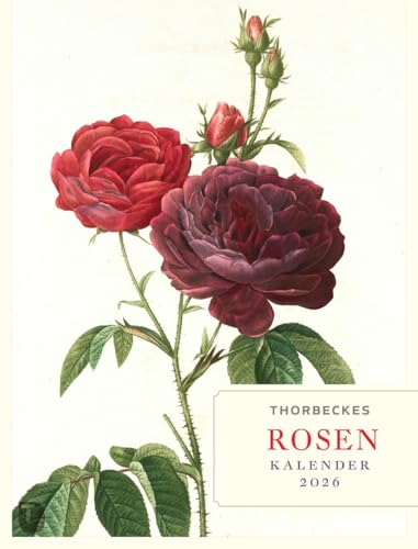 Thorbeckes Rosen-Kalender 2026 von Jan Thorbecke Verlag