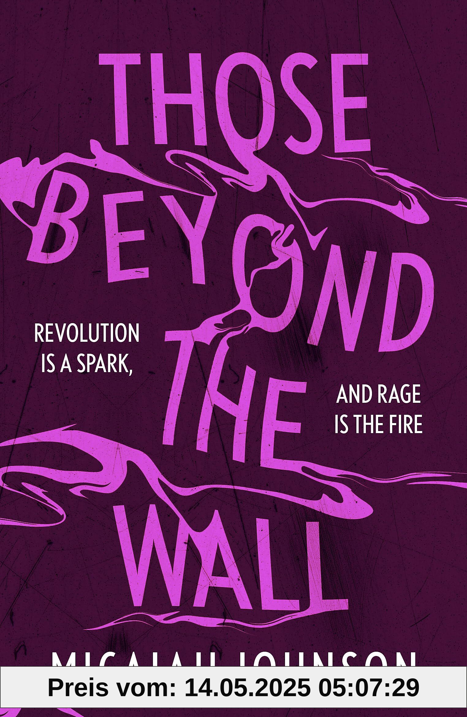 Those Beyond the Wall: The gripping new novel from the #1 Sunday Times bestselling author, shortlisted for the 2024 Ursula K. Le Guin Prize for Fiction (Ashtown series)