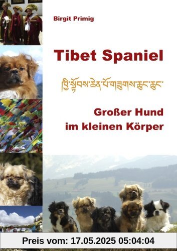 Tibet Spaniel: Großer Hund im kleinen Körper