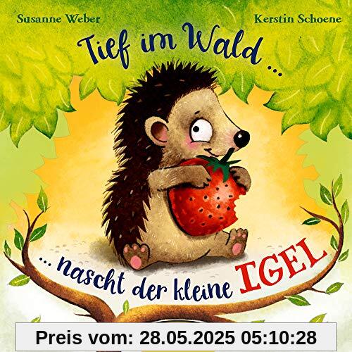 Tief im Wald: ... nascht der kleine Igel