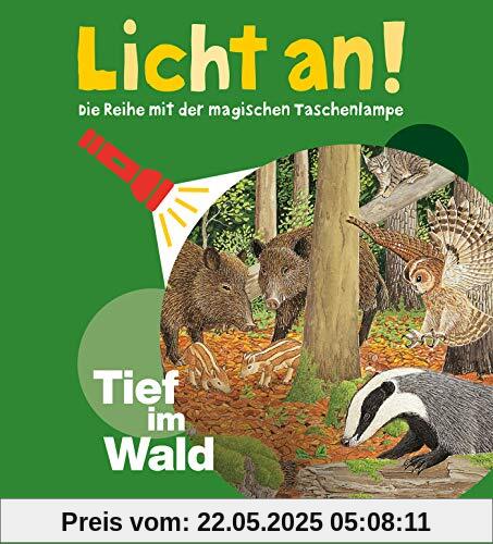 Tief im Wald: Licht an! (Licht an! Die Reihe mit der magischen Taschenlampe)