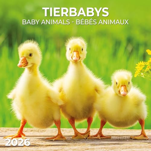 Tierbabys/Baby Animals 2026: Kalender 2026 (Artwork Edition) von Tushita PaperArt