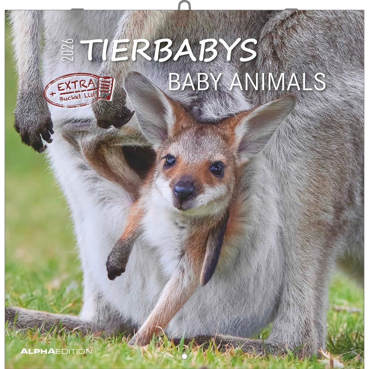Tierbabys 2026 - Broschürenkalender 30x30 cm (30x60 geöffnet) - Kalender mit Pla... von Neumann Verlage GmbH & Co