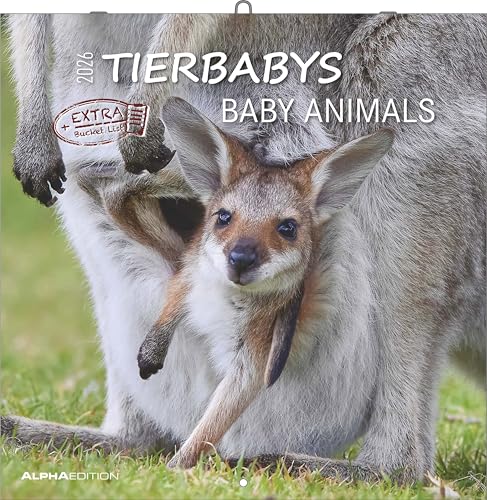 Tierbabys 2026 - Broschürenkalender 30x30 cm (30x60 geöffnet) - Kalender mit Platz für Notizen - Baby Animals - Bildkalender - Wandplaner - Alpha Edition: Baby Animals von ALPHA EDITION