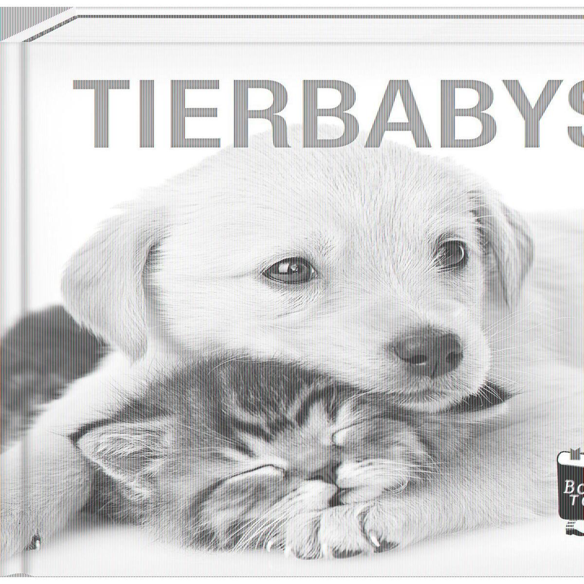 Tierbabys von Steffen Verlag
