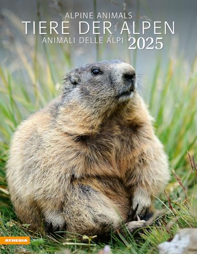 Tiere der Alpen - Kalender 2025: Animali delle Alpi – Alpine animals von Athesia-Tappeiner Kalender