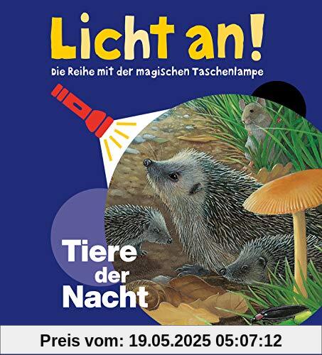 Tiere der Nacht: Licht an! (Licht an! Die Reihe mit der magischen Taschenlampe)