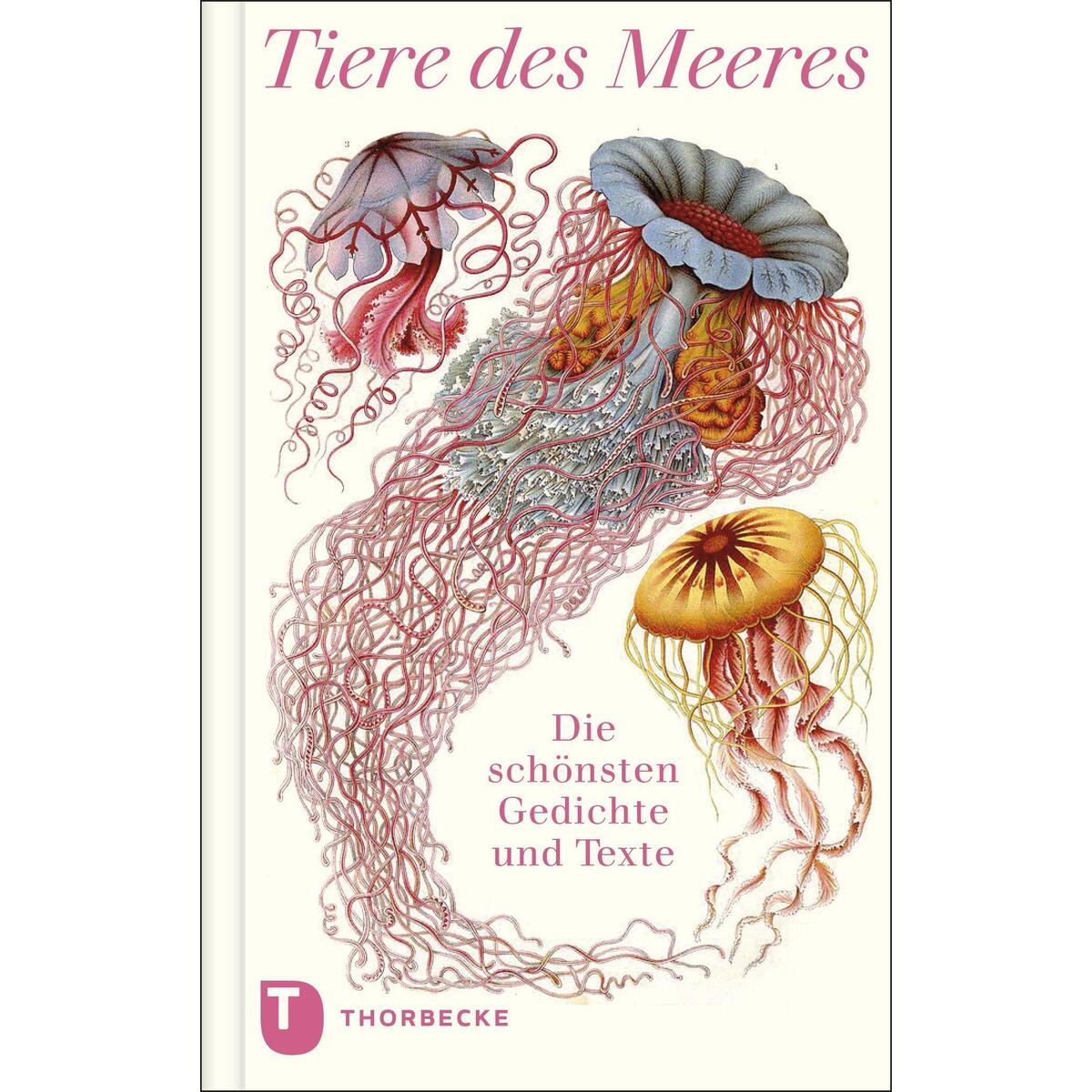 Tiere des Meeres von Thorbecke Jan Verlag