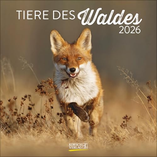 Tiere des Waldes 2026: Broschürenkalender mit Ferienterminen. Format: 30 x 30 cm von Korsch Verlag