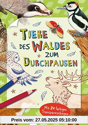 Tiere des Waldes zum Durchpausen