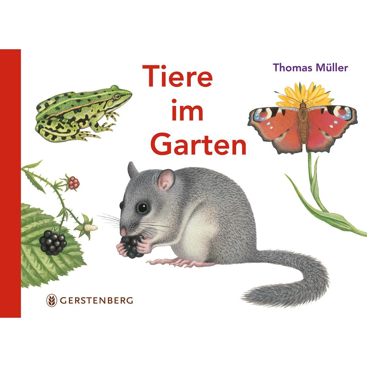 Tiere im Garten von Gerstenberg Verlag