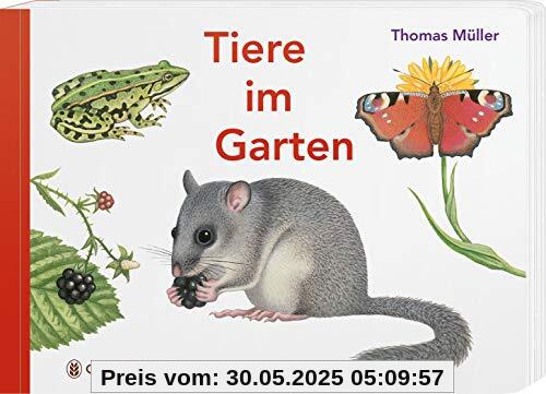 Tiere im Garten Tiere im Garten