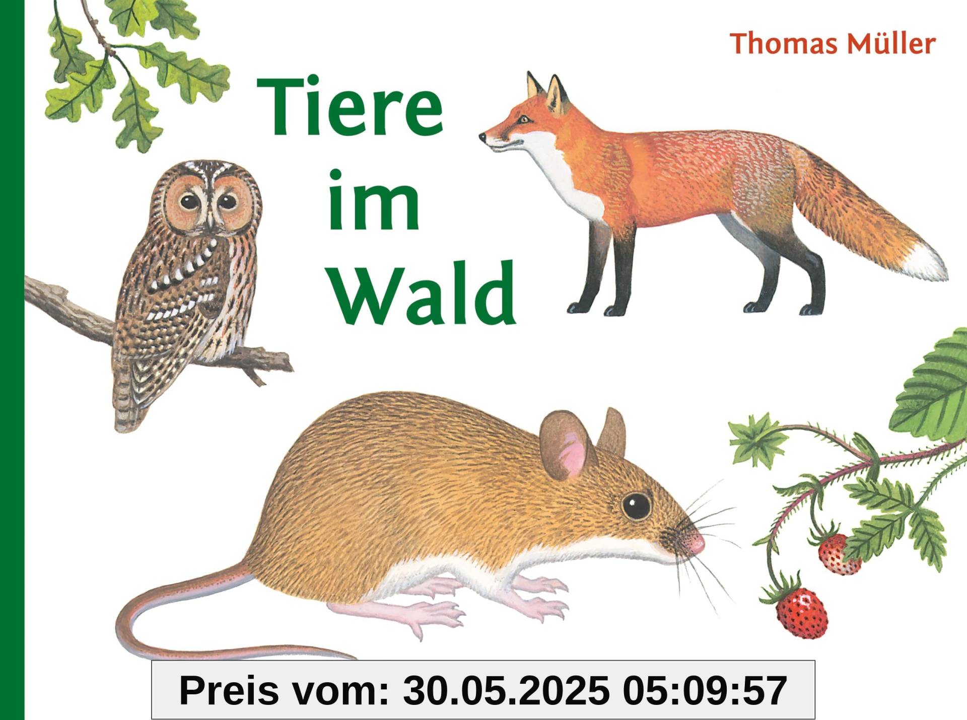 Tiere im Wald Tiere im Wald