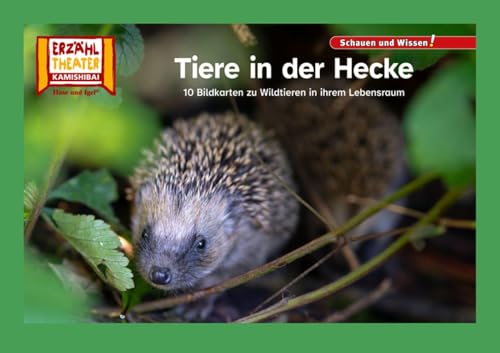 Tiere in der Hecke / Kamishibai Bildkarten: 10 Fotobildkarten für das Erzähltheater von Hase und Igel Verlag